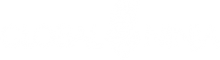 Global Ninja